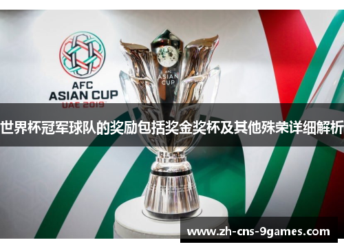 世界杯冠军球队的奖励包括奖金奖杯及其他殊荣详细解析