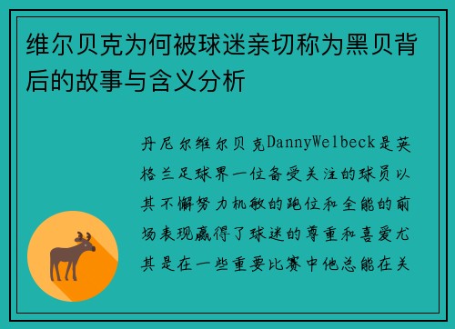 维尔贝克为何被球迷亲切称为黑贝背后的故事与含义分析 维尔贝克为何被球迷亲切称为黑贝背后的故事与含义分析
