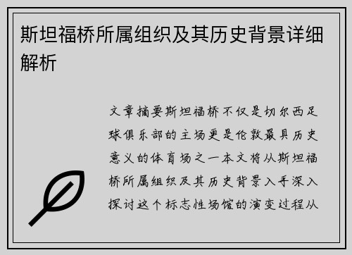 斯坦福桥所属组织及其历史背景详细解析